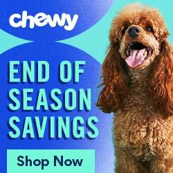 Shop Now On Chewy