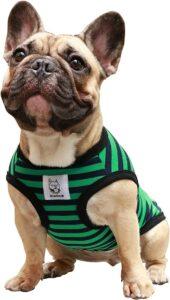 iChoue T Shirts for Dogs
